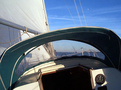 the view through the dodger