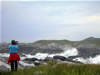 Hare Bay